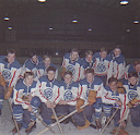 DM-final 1965-66