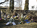 Pappas blommor