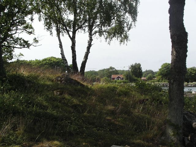 Saltärna udde